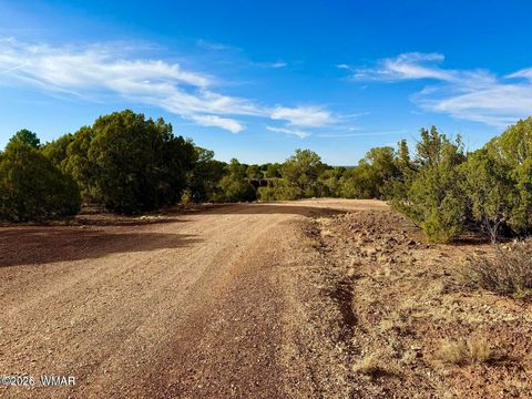 Tiny photo for 1838 Rocky Bottom Place, Show Low, AZ 85901 (MLS # 259100)