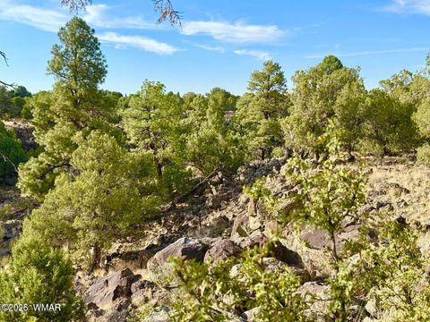 Tiny photo for 1838 Rocky Bottom Place, Show Low, AZ 85901 (MLS # 259100)