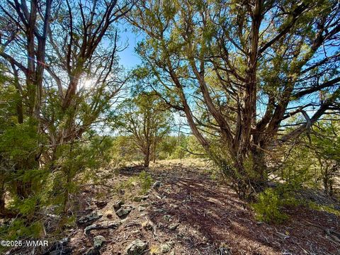 Tiny photo for 1838 Rocky Bottom Place, Show Low, AZ 85901 (MLS # 259100)