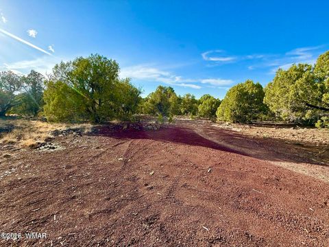 Tiny photo for 1838 Rocky Bottom Place, Show Low, AZ 85901 (MLS # 259100)