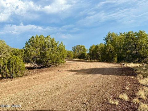 Tiny photo for 1838 Rocky Bottom Place, Show Low, AZ 85901 (MLS # 259100)