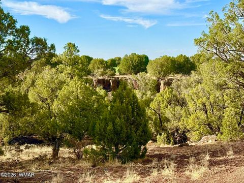 Tiny photo for 1838 Rocky Bottom Place, Show Low, AZ 85901 (MLS # 259100)