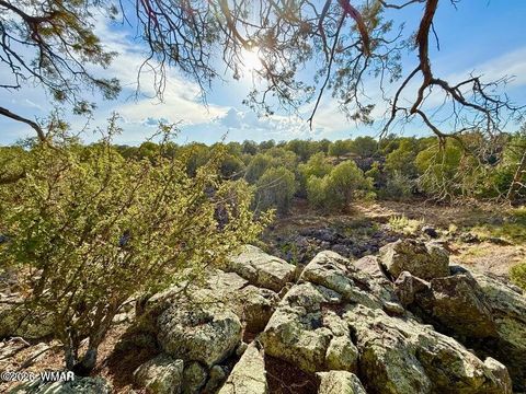 Tiny photo for 1838 Rocky Bottom Place, Show Low, AZ 85901 (MLS # 259100)