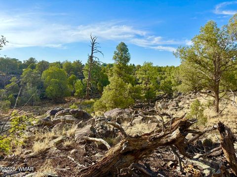 Tiny photo for 1838 Rocky Bottom Place, Show Low, AZ 85901 (MLS # 259100)