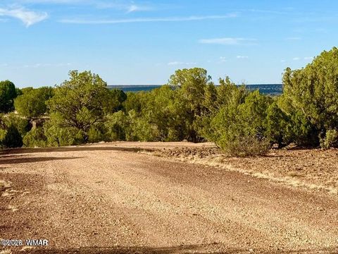 Tiny photo for 1838 Rocky Bottom Place, Show Low, AZ 85901 (MLS # 259100)