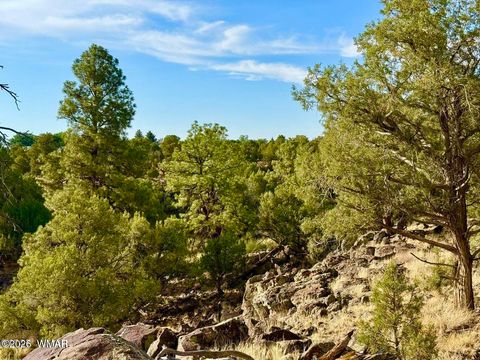 Tiny photo for 1838 Rocky Bottom Place, Show Low, AZ 85901 (MLS # 259100)