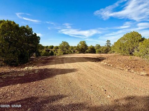 Tiny photo for 1838 Rocky Bottom Place, Show Low, AZ 85901 (MLS # 259100)