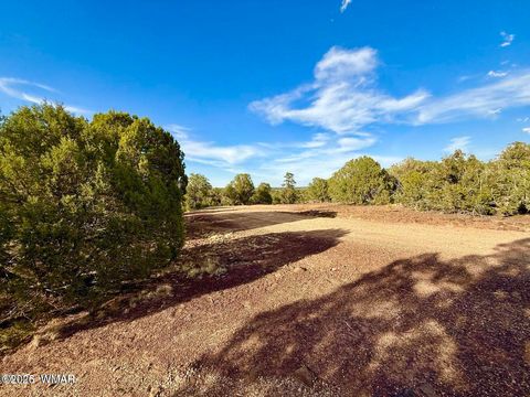 Tiny photo for 1838 Rocky Bottom Place, Show Low, AZ 85901 (MLS # 259100)