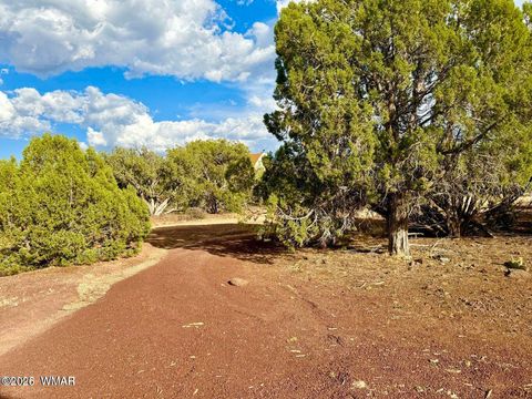 Tiny photo for 1838 Rocky Bottom Place, Show Low, AZ 85901 (MLS # 259100)
