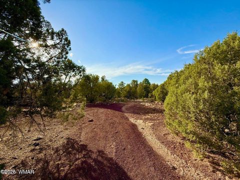 Tiny photo for 1838 Rocky Bottom Place, Show Low, AZ 85901 (MLS # 259100)