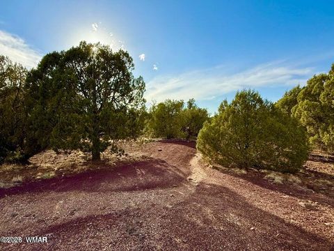 Photo of 1838 Rocky Bottom Place, Show Low, AZ 85901 (MLS # 259100)