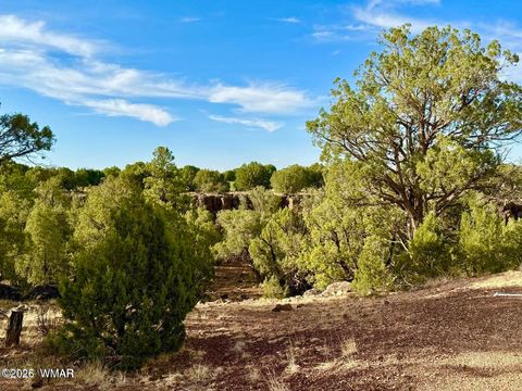 Tiny photo for 1838 Rocky Bottom Place, Show Low, AZ 85901 (MLS # 259100)