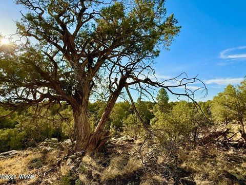 Tiny photo for 1838 Rocky Bottom Place, Show Low, AZ 85901 (MLS # 259100)