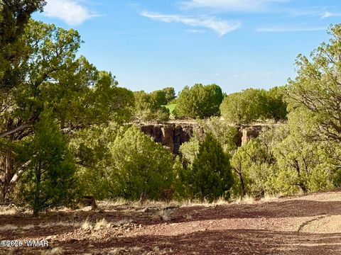 Tiny photo for 1838 Rocky Bottom Place, Show Low, AZ 85901 (MLS # 259100)