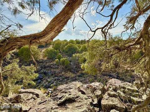 Tiny photo for 1838 Rocky Bottom Place, Show Low, AZ 85901 (MLS # 259100)