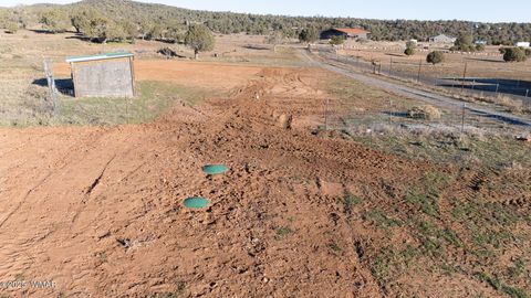 Tiny photo for 6527 Maxwell Lane, Show Low, AZ 85901 (MLS # 256585)