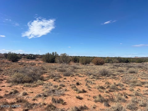 Tiny photo for 3170 Old Woodruff Road, Snowflake, AZ 85937 (MLS # 261950)