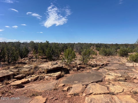 Tiny photo for 3170 Old Woodruff Road, Snowflake, AZ 85937 (MLS # 261950)
