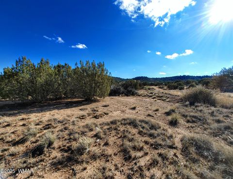 Tiny photo for Parcel 3 W Shumway Rd, Taylor, AZ 85939 (MLS # 258769)
