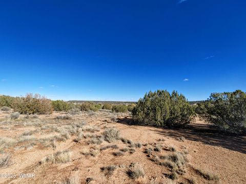 Tiny photo for Parcel 3 W Shumway Rd, Taylor, AZ 85939 (MLS # 258769)