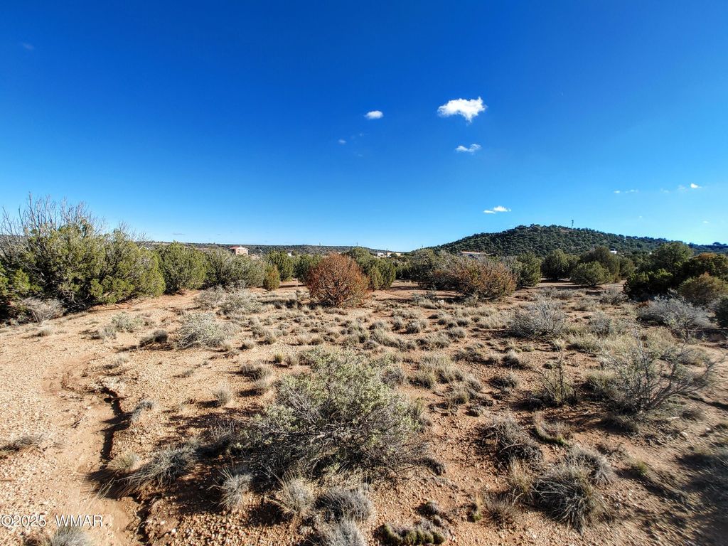 Photo for Parcel 3 W Shumway Rd, Taylor, AZ 85939 (MLS # 258769)