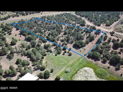 Photo of TBD State Route 260, Clay Springs, AZ 85923 (MLS # 256729)