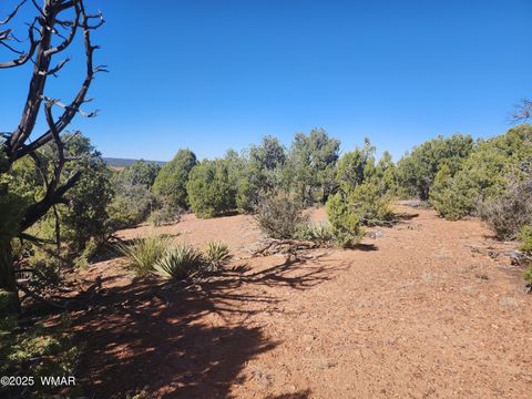 Tiny photo for TBD State Route 260, Clay Springs, AZ 85923 (MLS # 256729)