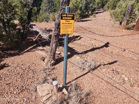 Tiny photo for TBD State Route 260, Clay Springs, AZ 85923 (MLS # 256729)