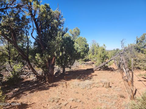 Tiny photo for TBD State Route 260, Clay Springs, AZ 85923 (MLS # 256729)