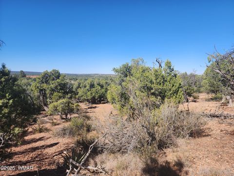 Tiny photo for TBD State Route 260, Clay Springs, AZ 85923 (MLS # 256729)