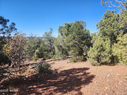 Tiny photo for TBD State Route 260, Clay Springs, AZ 85923 (MLS # 256729)