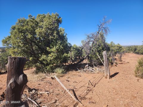 Tiny photo for TBD State Route 260, Clay Springs, AZ 85923 (MLS # 256729)