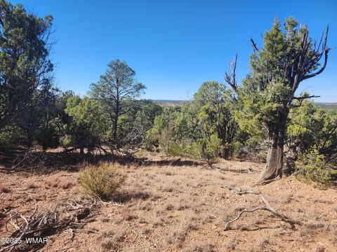 Tiny photo for TBD State Route 260, Clay Springs, AZ 85923 (MLS # 256729)