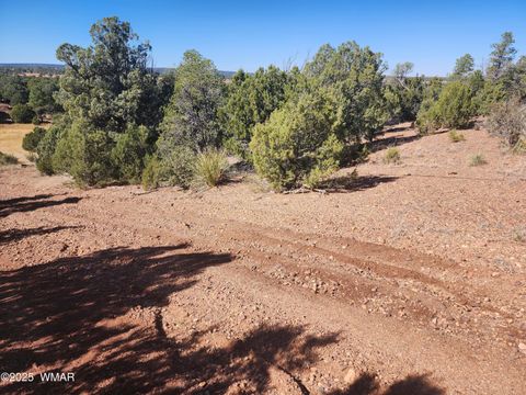 Tiny photo for TBD State Route 260, Clay Springs, AZ 85923 (MLS # 256729)