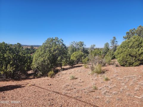 Tiny photo for TBD State Route 260, Clay Springs, AZ 85923 (MLS # 256729)