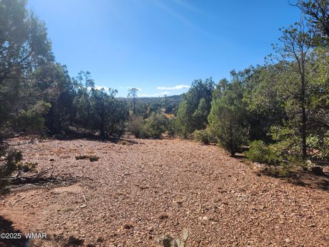 Tiny photo for TBD State Route 260, Clay Springs, AZ 85923 (MLS # 256729)