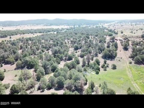 Tiny photo for TBD State Route 260, Clay Springs, AZ 85923 (MLS # 256729)