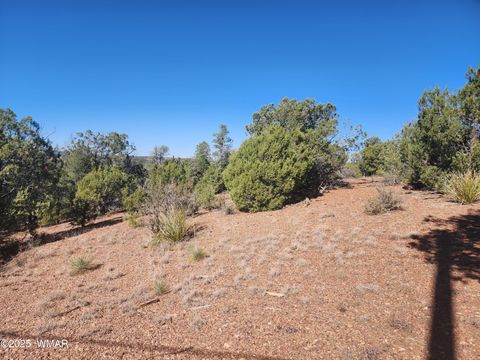 Tiny photo for TBD State Route 260, Clay Springs, AZ 85923 (MLS # 256729)