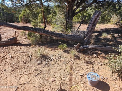 Tiny photo for TBD State Route 260, Clay Springs, AZ 85923 (MLS # 256729)