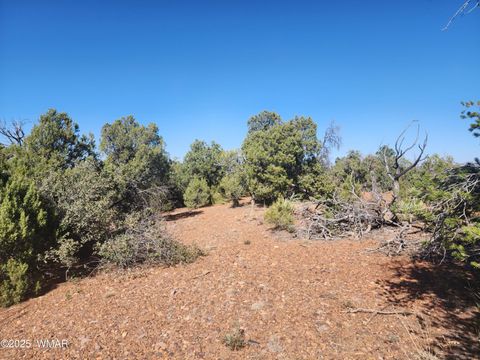 Tiny photo for TBD State Route 260, Clay Springs, AZ 85923 (MLS # 256729)