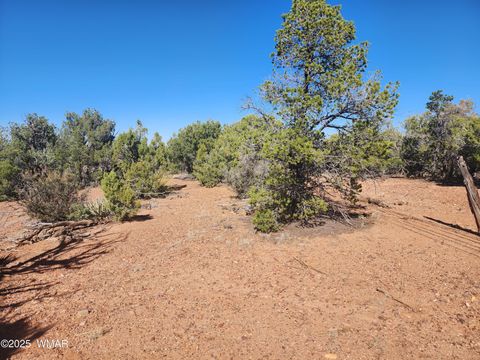 Tiny photo for TBD State Route 260, Clay Springs, AZ 85923 (MLS # 256729)