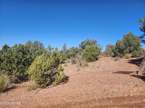 Tiny photo for TBD State Route 260, Clay Springs, AZ 85923 (MLS # 256729)