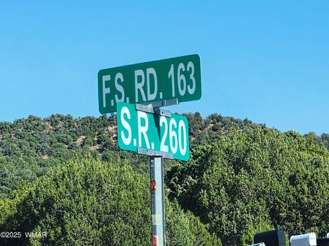 Tiny photo for TBD State Route 260, Clay Springs, AZ 85923 (MLS # 256729)