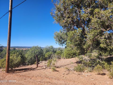 Tiny photo for TBD State Route 260, Clay Springs, AZ 85923 (MLS # 256729)