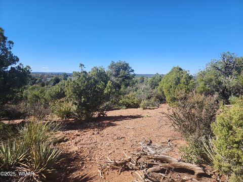 Tiny photo for TBD State Route 260, Clay Springs, AZ 85923 (MLS # 256729)