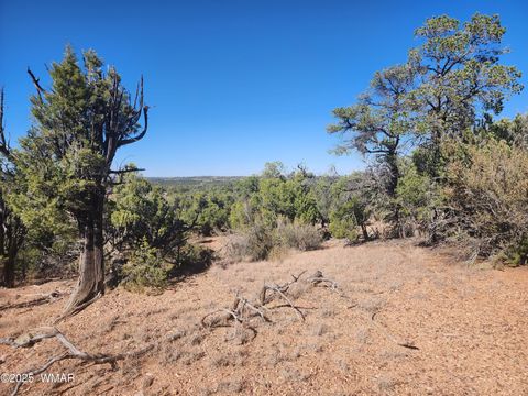 Tiny photo for TBD State Route 260, Clay Springs, AZ 85923 (MLS # 256729)