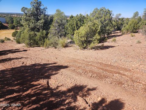 Tiny photo for TBD State Route 260, Clay Springs, AZ 85923 (MLS # 256729)
