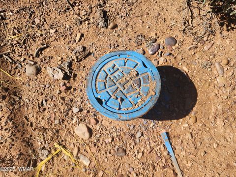 Tiny photo for TBD State Route 260, Clay Springs, AZ 85923 (MLS # 256729)