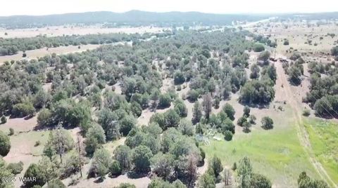 Tiny photo for TBD State Route 260, Clay Springs, AZ 85923 (MLS # 256729)