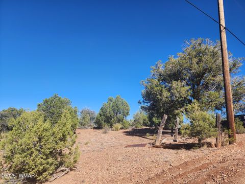 Tiny photo for TBD State Route 260, Clay Springs, AZ 85923 (MLS # 256729)
